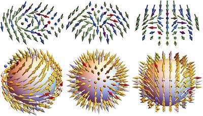 Skyrmions and Antiskyrmions in Quasi-Two-Dimensional Magnets